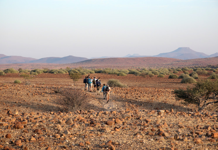Wandel met uw gids door de omgeving van Palmwag, Namibië