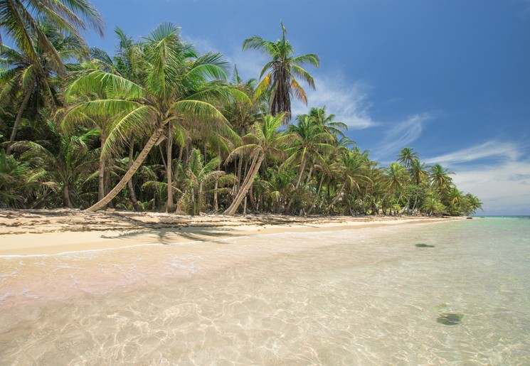 Bounty stranden en tropische palmbomen in Nicaragua