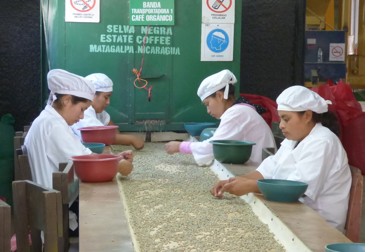 Nicaragua-Matagalpa-Selva-Negra-koffietour