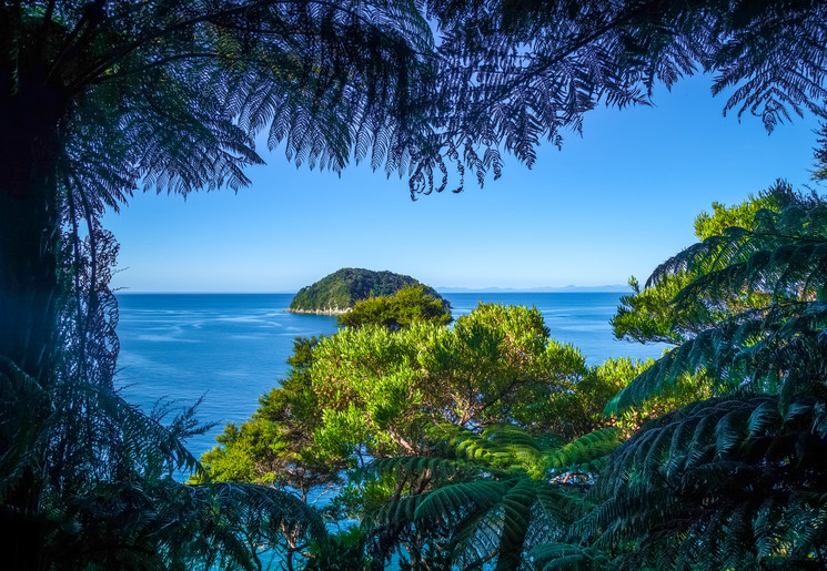 Door de varens heen kijk je uit over de zee in het Abel Tasman National Park, Nieuw-Zeeland
