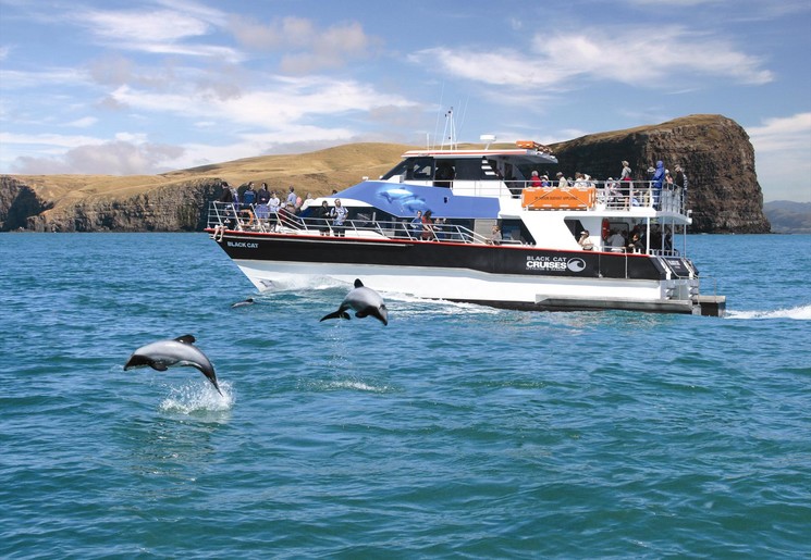 Harbour cruise bij Akaroa
