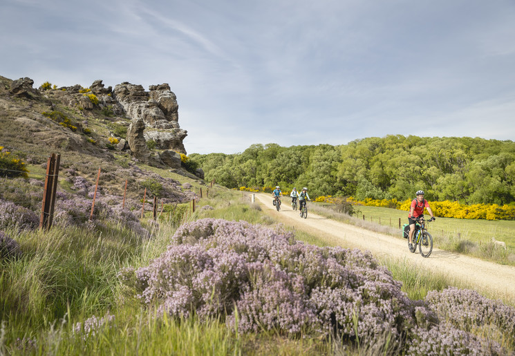Al fietsend door de vallei van Central Otago, Nieuw-Zeeland