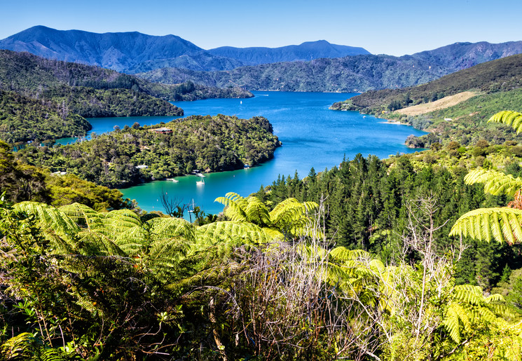 De groene omgeving van de Marlborough Sounds, Nieuw-Zeeland