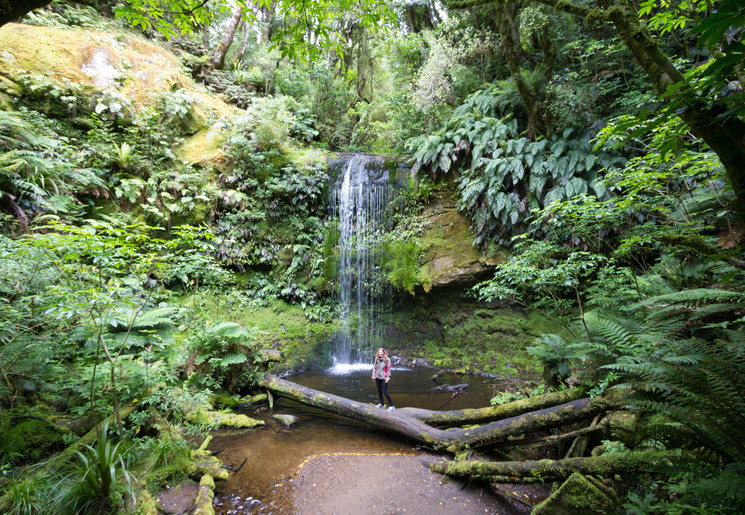 Bossen en waterval The Catlins, Nieuw-Zeeland: