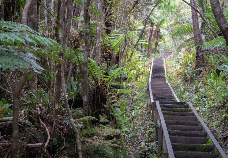 Nieuw-Zeeland-Zuidereiland-Stewart-Island-8