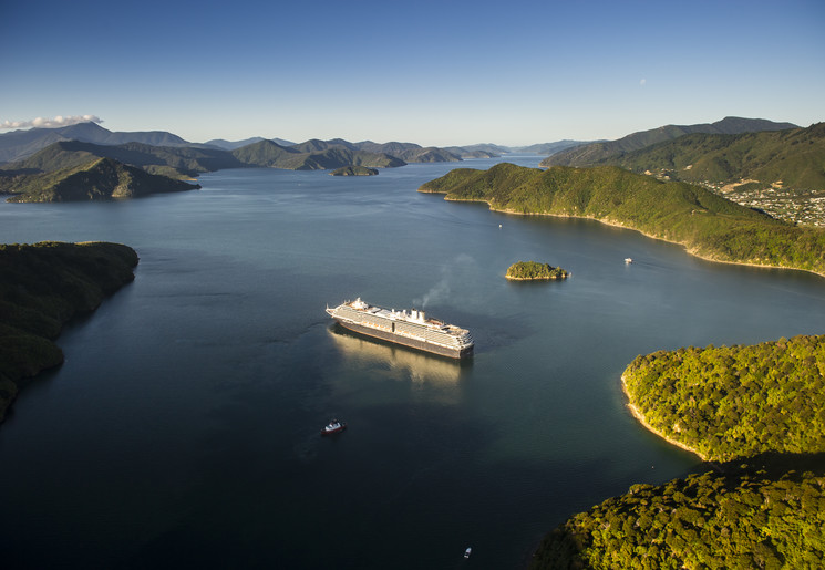 Wijngaarden nabij Marlborough Sound, Nieuw-Zeeland