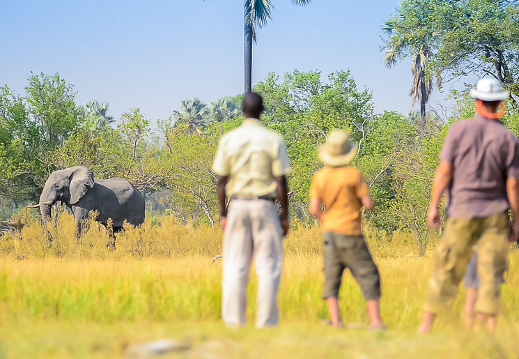 Kampeersafari in Botswana