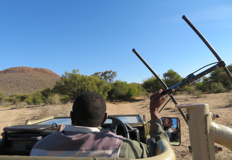 Game drive in Okonjima Nature Reserve