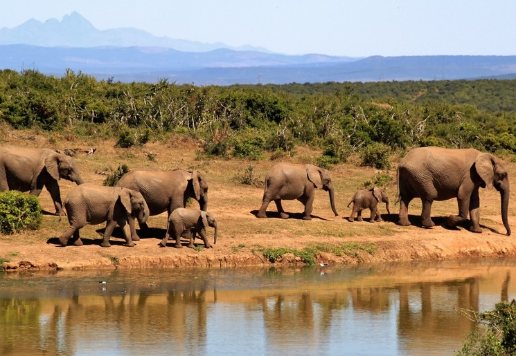 Ruaha National Park