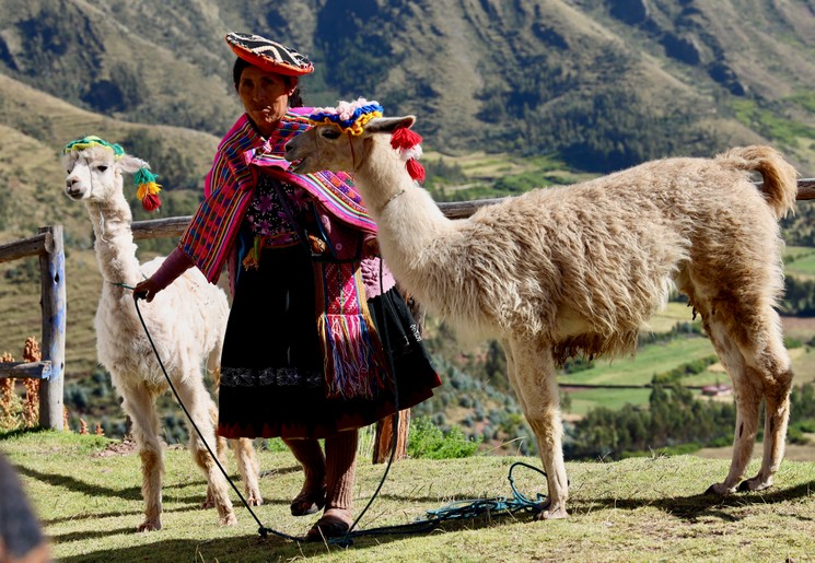 Ga op de foto met een local en twee lama's bij Machu Picchu, Peru