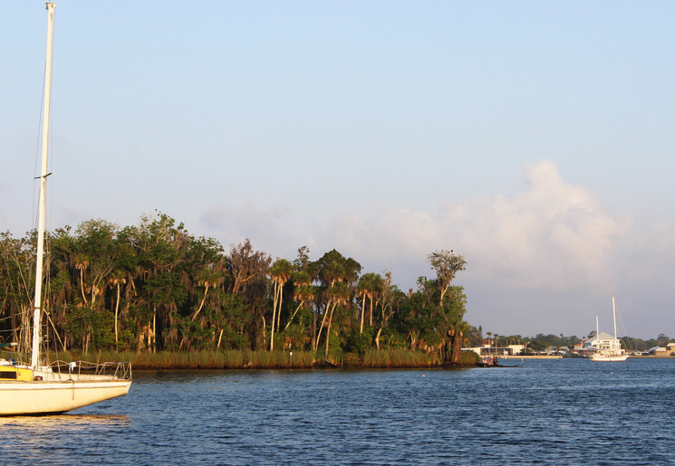 Rivier bij Crystal River