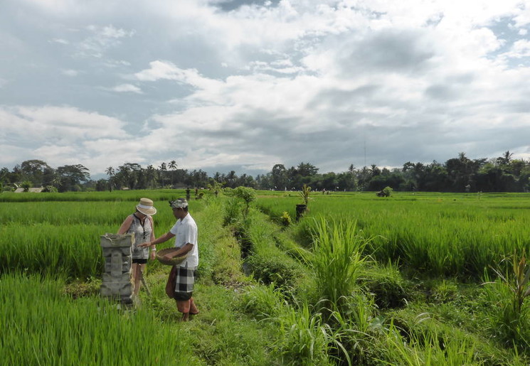 Op-stap-met-een-Balinees-3(8)