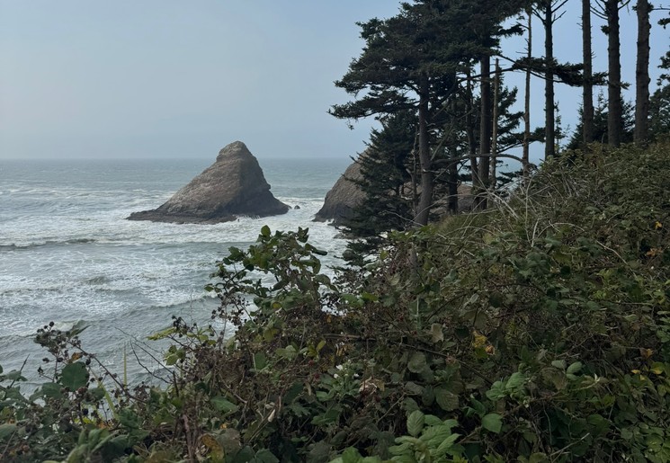 Langs de Oregoncoast