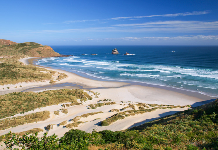 Bezoek de stranden van Nieuw-Zeeland, zoals Otago Peninsula