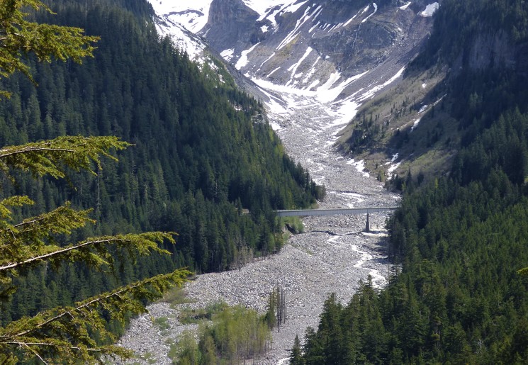 Paradise-gedeelte in Mount Rainier National Park