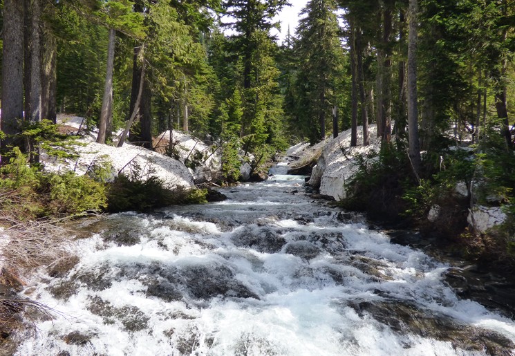 Mount Rainier National Park