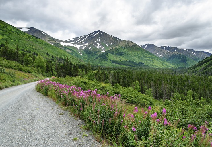 Mooie natuur rond Palmer, Alaska, Amerika