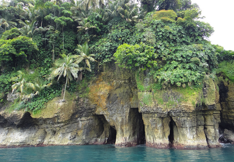 Bird Island bij Bocas del Toro - Panama