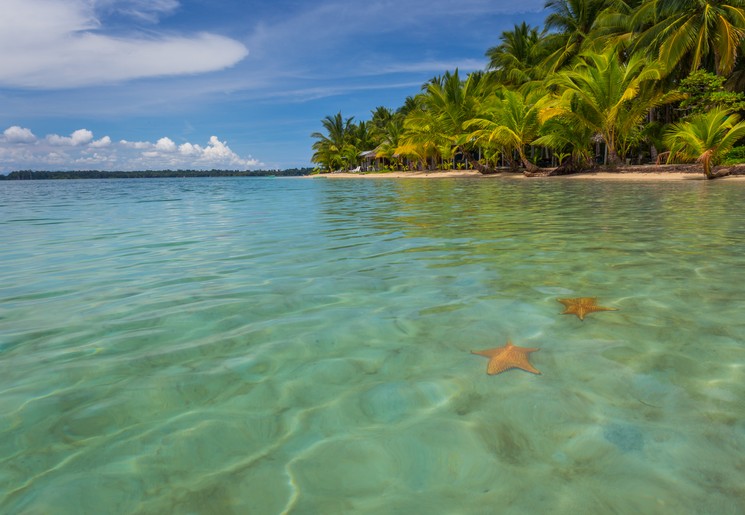 Rode zeesterren bij Bocas del Toro - Panama