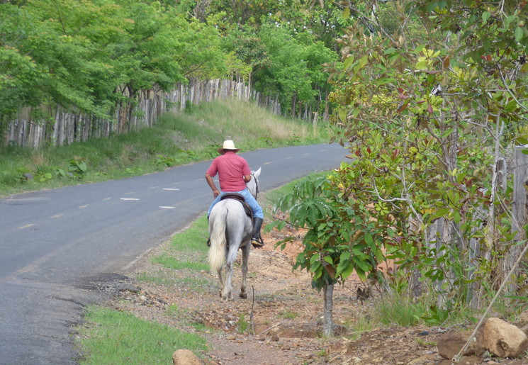 b6c209a7-a7fc-41bf-ad1f-5b58ad033202