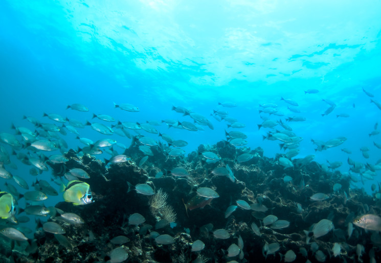 4c44ca7e-c18c-416e-89d6-29aea08c2524