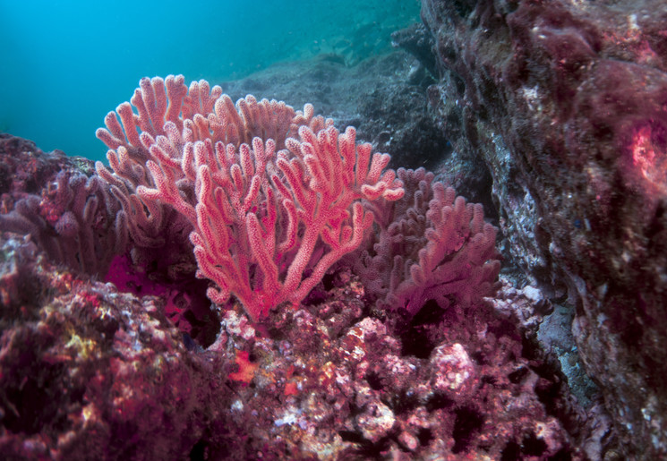 3d2c3684-9dbb-4c3c-9753-f7cd25b38999