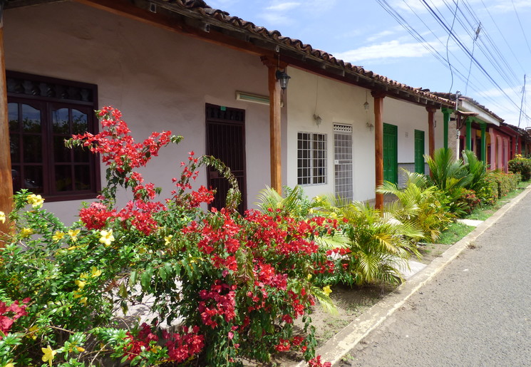 25f04d9f-40ad-4093-93e8-48ca9d3e4d1d