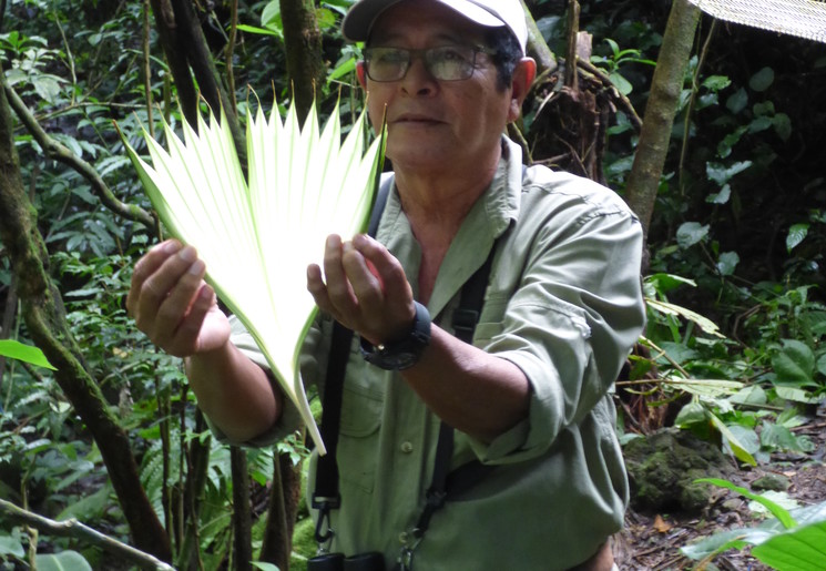 Panama-Valle-de-Anton-gids_1_367874