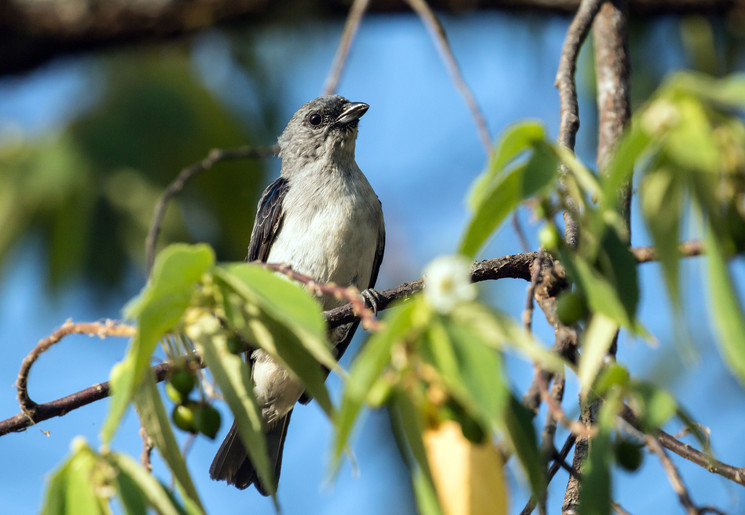 b580764c-d1fa-4ddb-a429-8d7f303d32a5