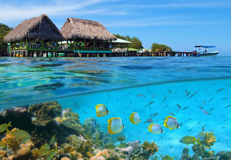 Snorkelen bij Bocas del Toro, Panama