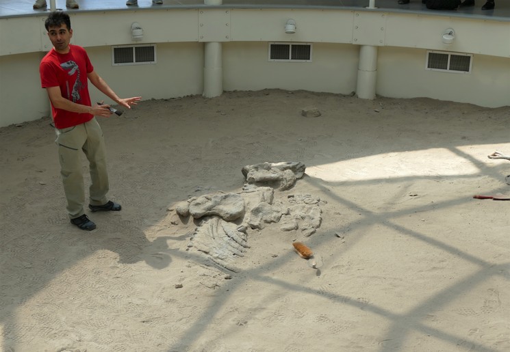 Ischigualasto National Park, Argentinië