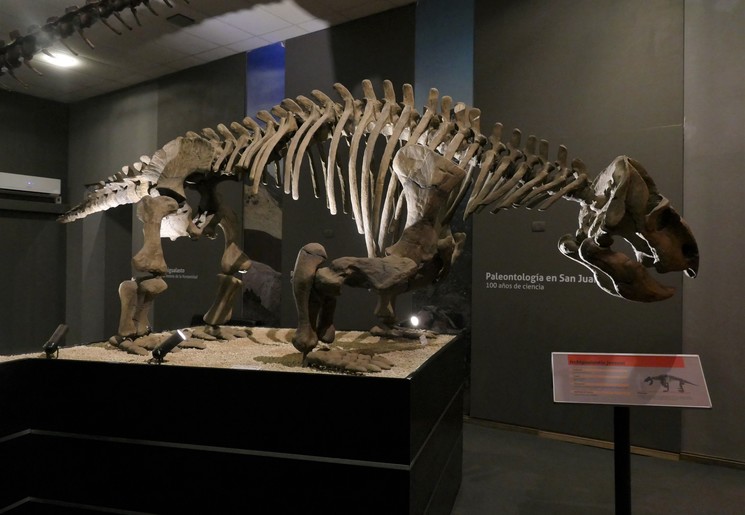 Ischigualasto National Park, Argentinië