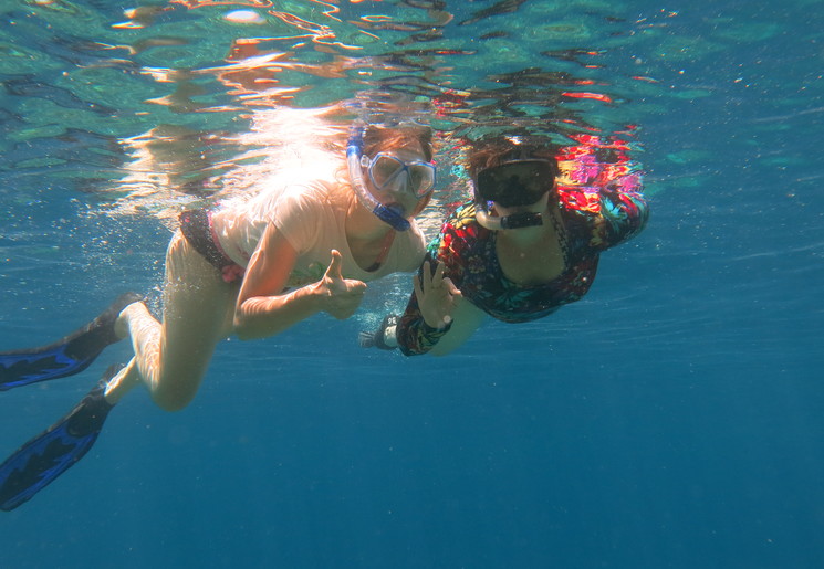 Pemuteran-Menjangan-Snorkelen_1_407794