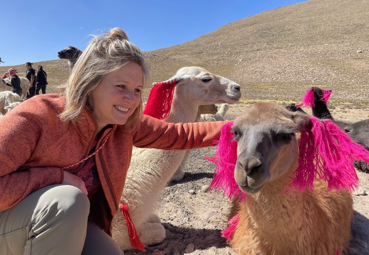 Peru Lama