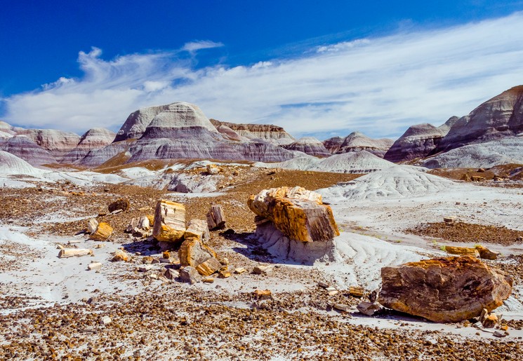 Petrified Forest National Park, Amerika