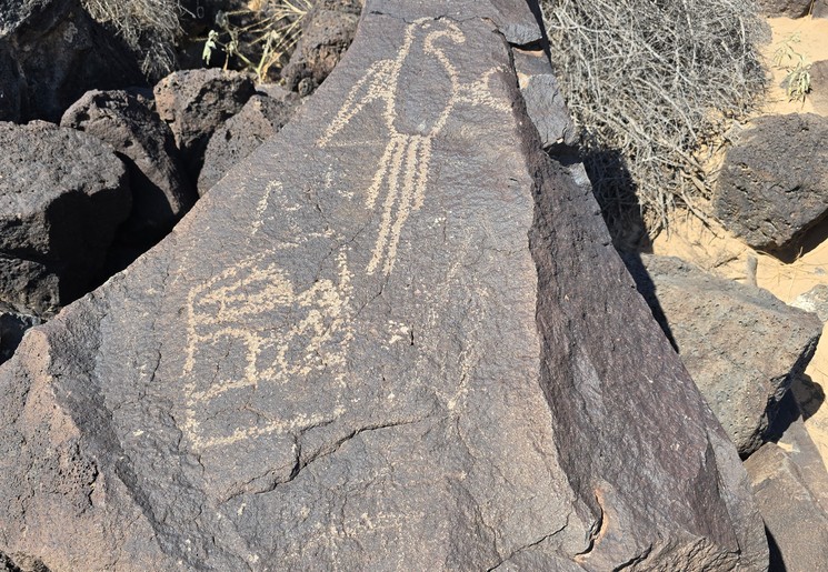 Bijzondere rotstekeningen in het Petroglyph National Monument, New Mexico, Verenigde Staten