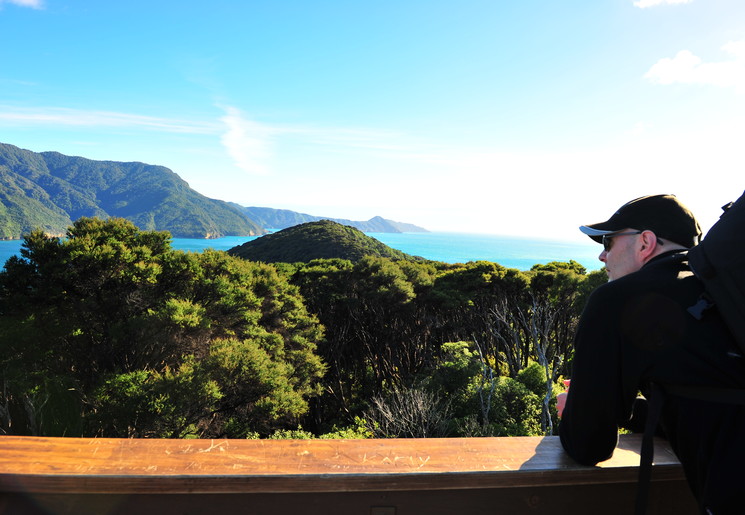 Schitterende uitzichten tijdens wandeling bij Marlborough Sounds bij Picton, Nieuw-Zeeland