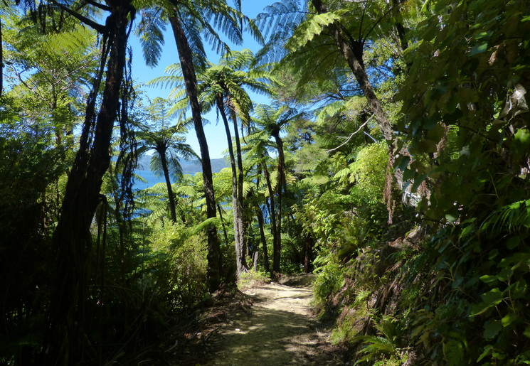 Wandelen door de Marlborough Sounds bij Picton, Nieuw-Zeeland