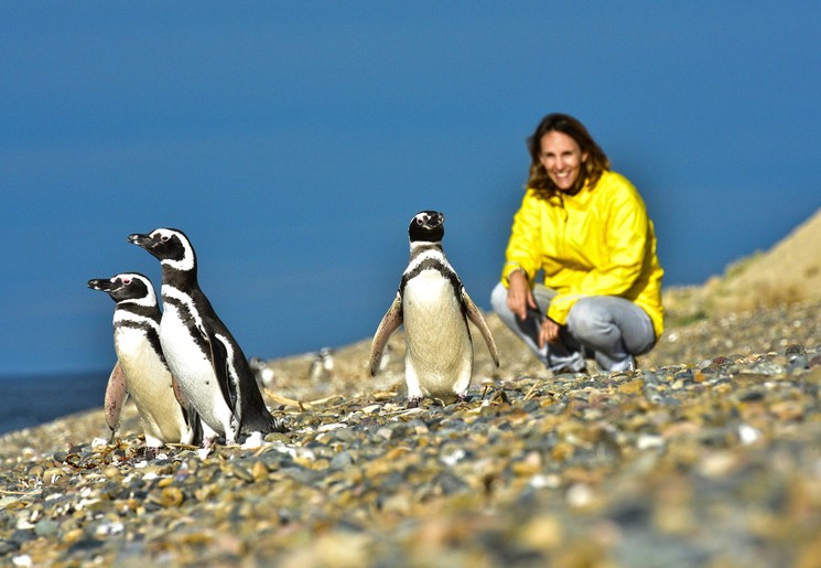 Wandel tussen de pinguins in El Pedral