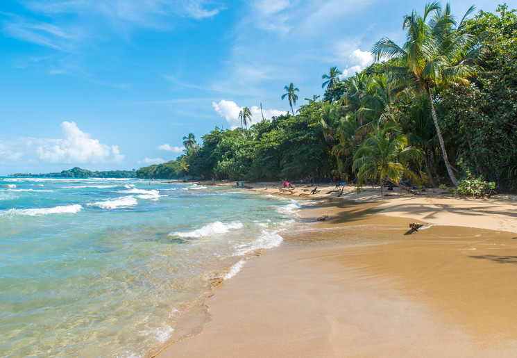 Het zandstrand in de omgeving van Puerto Viejo de Talamanca - Costa Rica