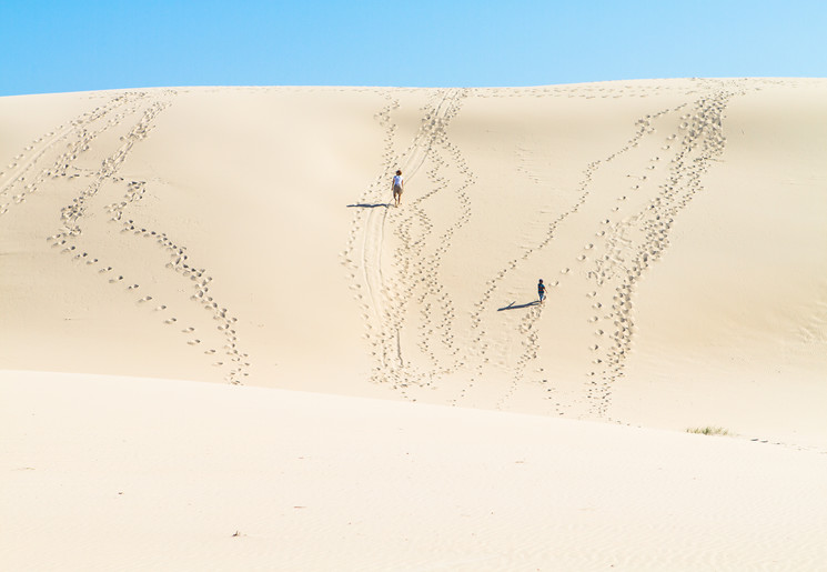 Trotseer de hoge duinen van Port Stephens met een sandboard