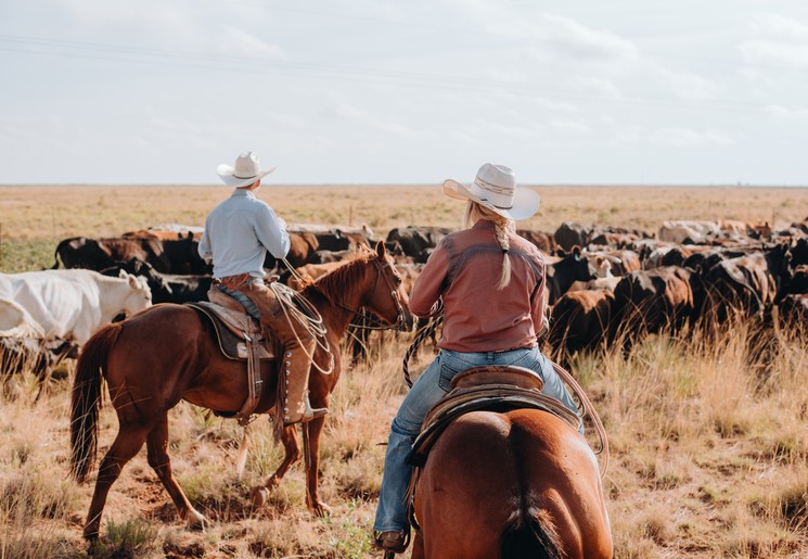 Paardrijden op een ranch in Texas, USA