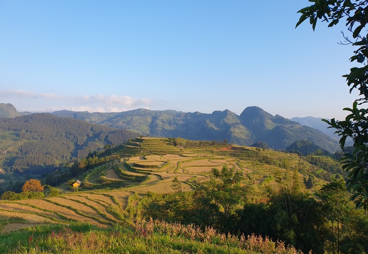 Mijn top 5 mooiste natuur in Vietnam