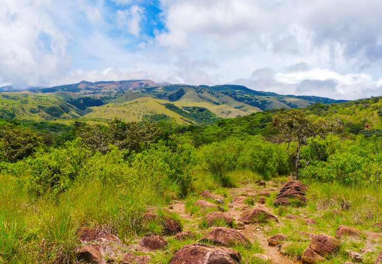 Diversiteit in de natuur bij Rincon de la Vieja, Costa Rica