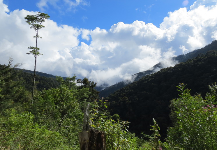 SAN-GERARDO-DE-DOTA-ONDERWEG-4(12)