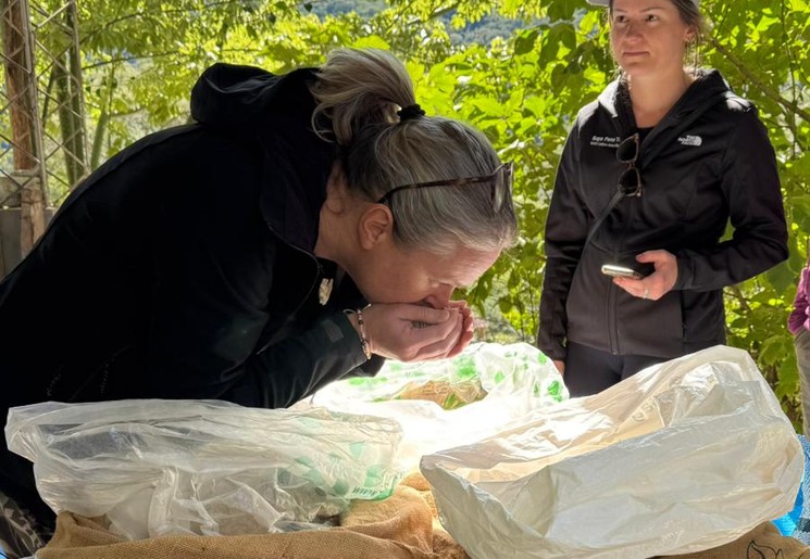 Bezoek aan een koffieplantage in Samaipata