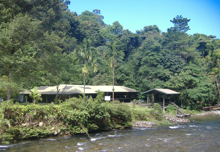 Sarawak-MuluNP-Camp 5_1