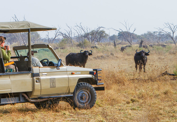 Op safari in Savuti Botswana