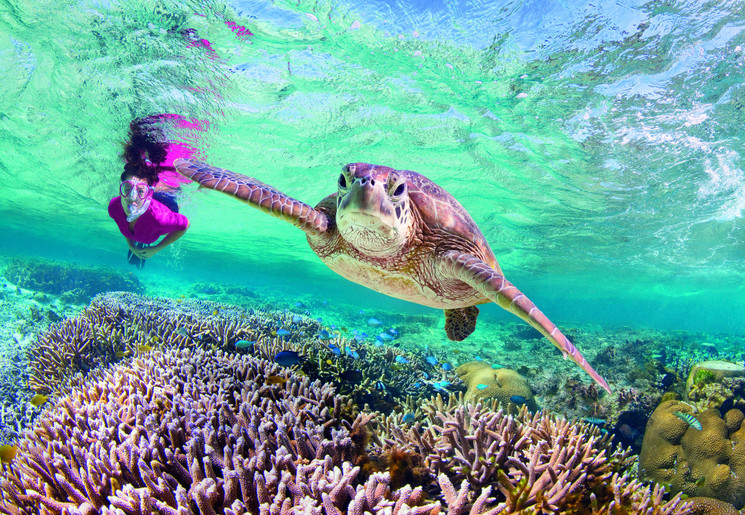 Snorkelen op het Great Barier Reef