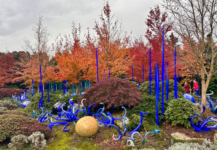 Bloemen en planten van glas in Chihuly Garden, Seattle, Verenigde Staten
